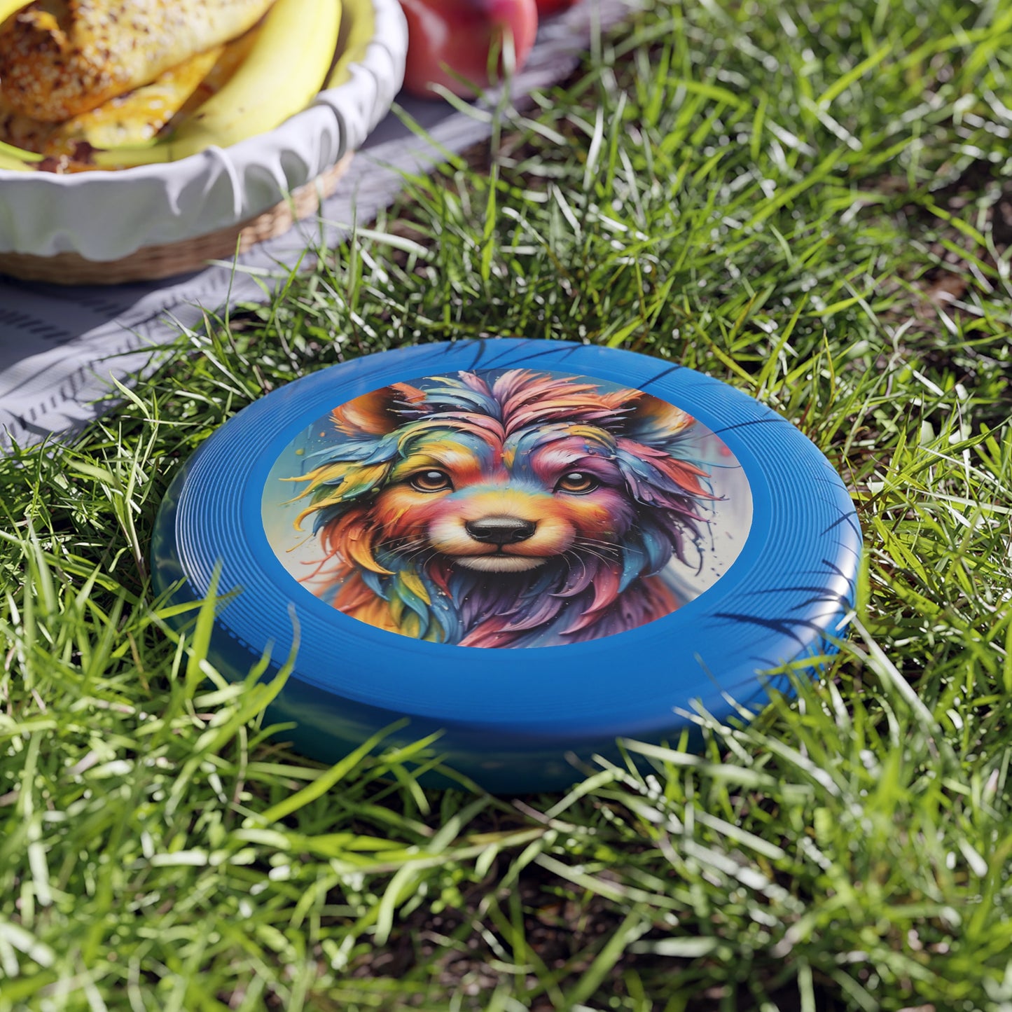 Wham-O Frisbee